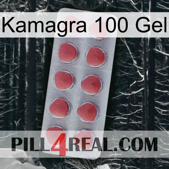 Kamagra 100 Gel 18.jpg